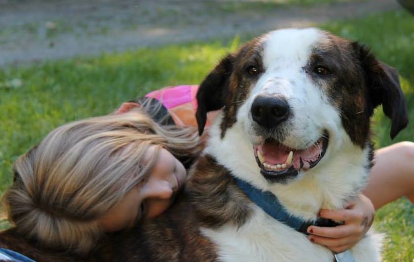 (ВИДЕО) Жиле – една од епизодите по кои ќе го паметам моето постоење