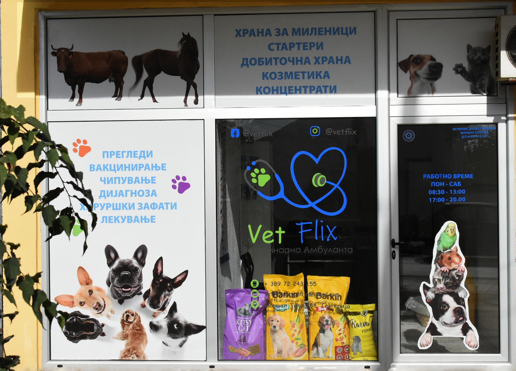 Вет Фликс, Гевгелија