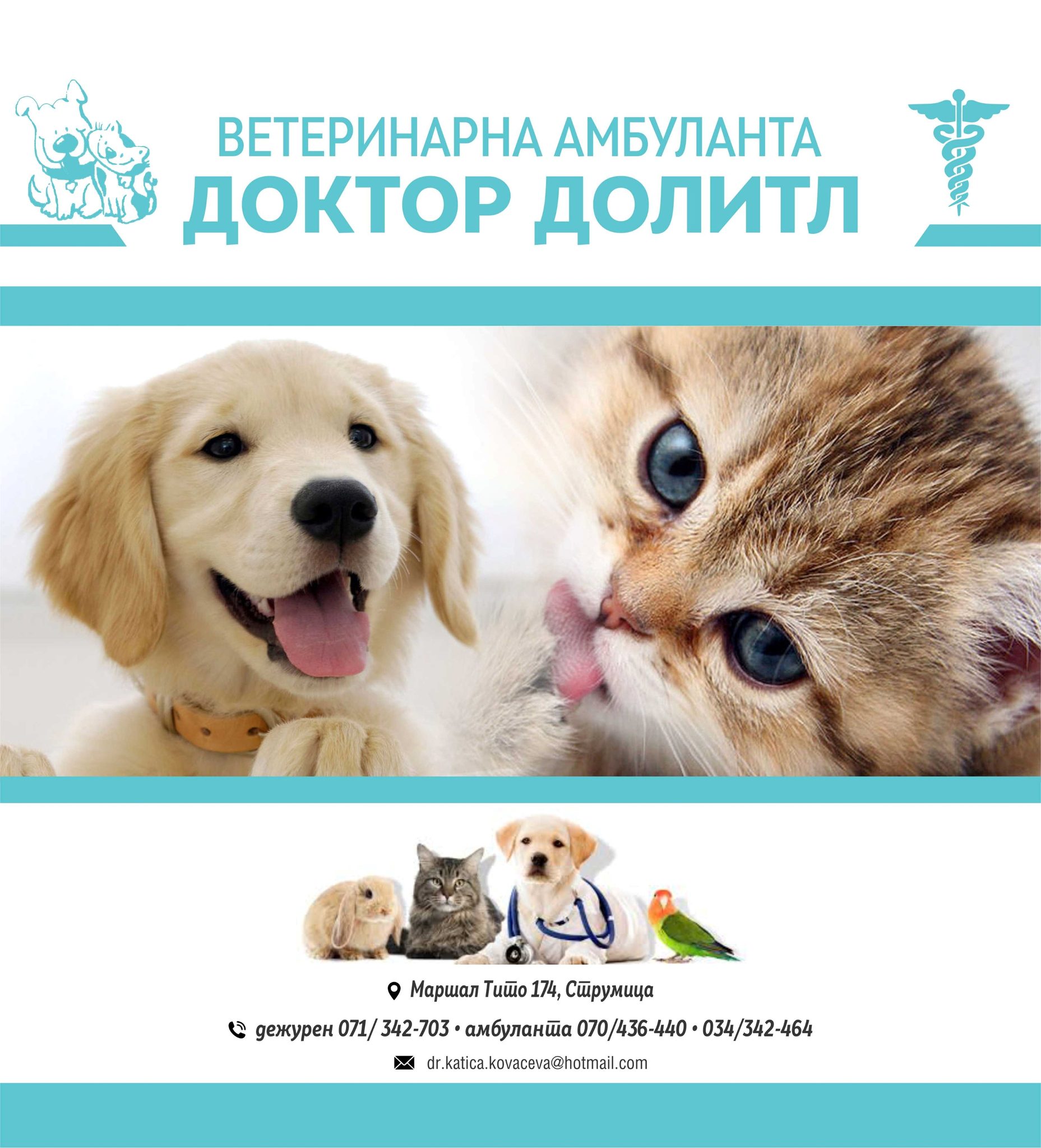 Доктор Долитл, Струмица