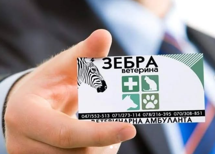 Зебра ветерина, Демир Хисар