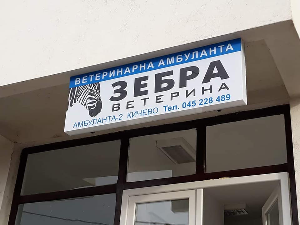 Зебра ветерина, Кичево