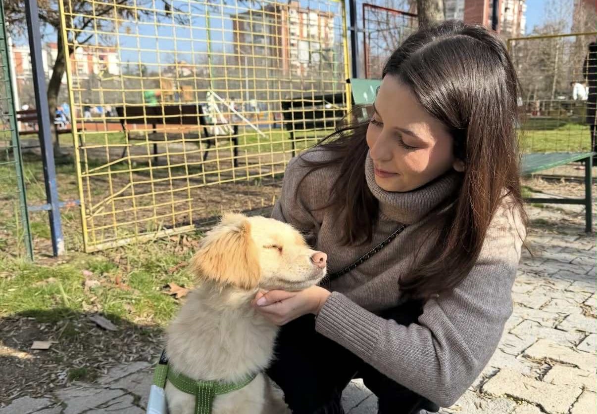 Кучињата од Лајка излегоа на „дејт“ со граѓаните и го стоплија срцето на Скопје!