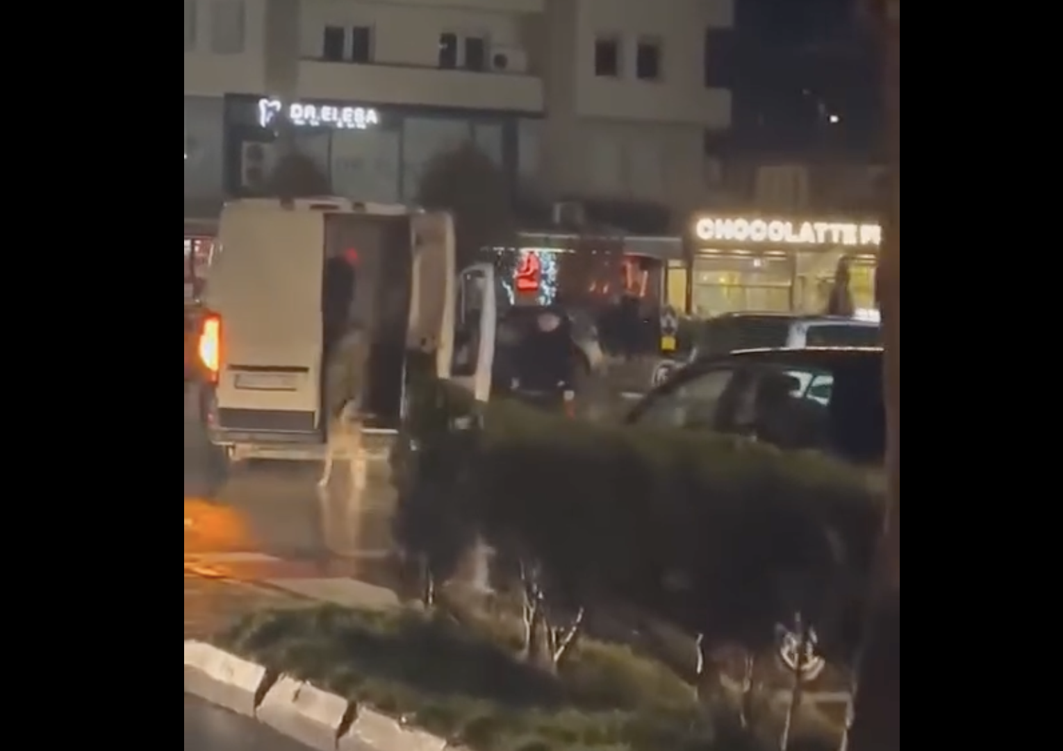АХВ утврди дека улични кучиња се дислоцираат од Гостивар, ама не знае каде завршиле?!