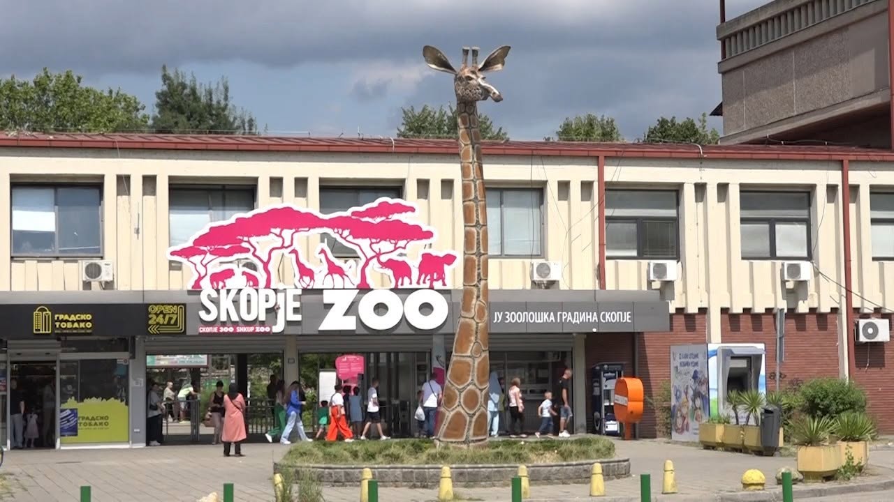 Волци избегале од ЗОО Скопје, изеле четири кенгури и ему птици